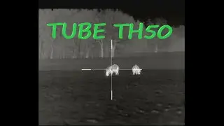 Lov s InfiRay TUBE TH50 - wildboar hunting