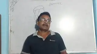 Classification of hammer