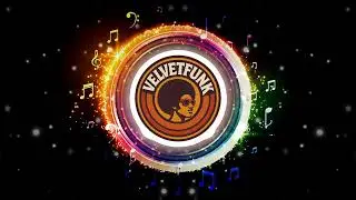 The VelvetFunk — Going to the Basic