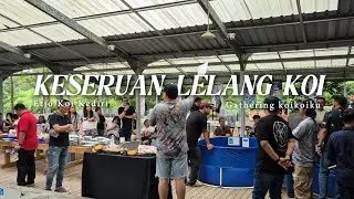 LELANG KOI IMPOR BERKUALITAS 🇯🇵 KOIKOIKU GATHERING 2026 #koiauction #lelangkoi #koiimport 