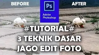 TUTORIAL - 3 Teknik Dasar Jago Edit Foto (Untuk Pemula)