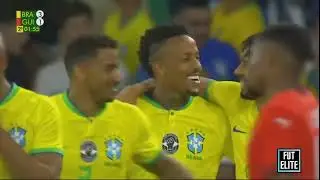 Brazil vs Guinea 4 -1 Extended Highlights & Goals