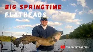 Big Spring Time Flatheads