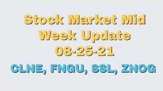 Stock Market Mid Week Update 08-25-2021 - CLNE, FNGU, SSL, ZNOG
