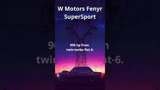 #Facts about the car W Motors Fenyr SuperSport #auto