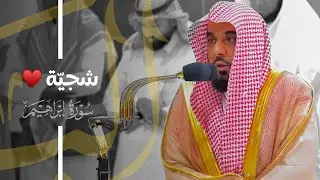 تلاوة حجازية شجيّة جدًا للشيخ د. عبدالله الجهني من سورة إبراهيم | فجر 4-8-1445هـ