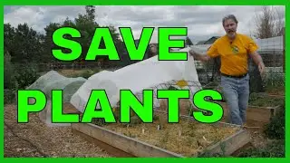 How to Protect Your Garden from Storms