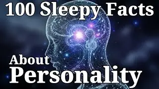 100 Most Relaxing Facts About Sleep to Fall Asleep To