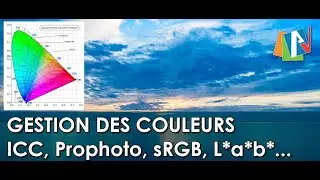 Tuto La gestion des couleurs avec Photoshop, Lightroom Classic et Camera RAW