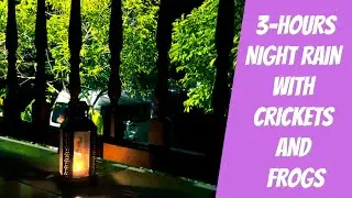 (No adv) 3-hours Natural Rain Sound for Sleeping and Relaxation - Crickets and Frogs in the rain