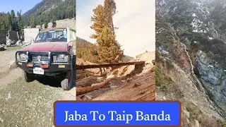 Swat Mankial Jaba To | Taip Banda | 