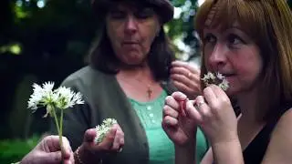 Leeds Indie Food 2019 - Walk On The Wild Side