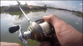 Topwater Tuesday Ep.1