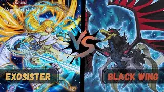 Exosister VS Black Wing_Galinhas pretas