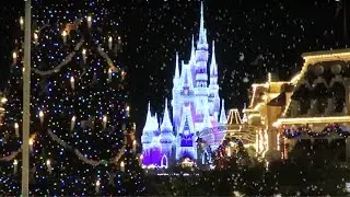 A Magical Christmas! - 12 Days of Disney Vlogs! (Day 2) | BrandonBlogs