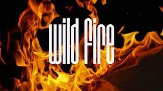 WILDFIRE (AUDIO) - Sasha Shlain X Chemutai Sage ft SocraTess