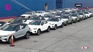 China's New Energy Vehicle (NEV) Exports Surge 1.5 Times in January-July Period