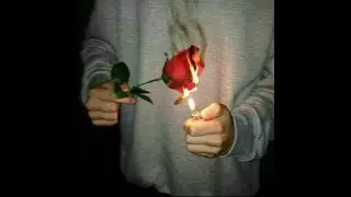 ({FREE}) Wifisfuneral Type Beat 