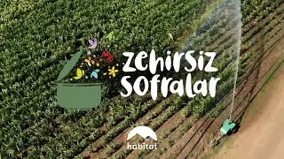 ÖZEL YAPIM | ZEHİRSİZ SOFRALAR