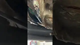 #VW #MKV Rocker Repair Tips for Cutting #diy #automobile #mechanic