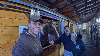Finishing Up CLEANING Our Stable On A RAINY Day
