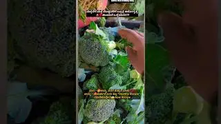 How to make new style broccoli 🥦 recipe #shortvideo #song #shorts#short#viral#trending#youtubeshorts