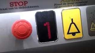 Artico platform@fun Tiltwinge-gouden kriuspunt