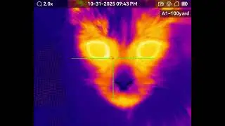 AGM Rattler V2 35-384 Thermal Scope test 2 
