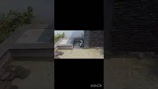 Cascade Waterfall with Pond Filtration Setup | Natural Garden Water Feature | Aquapets Coimbatore
