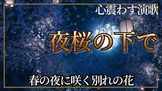 演歌新曲「夜桜の下で」— 春の夜に咲く別れの花