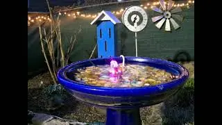 Pruning Butterfly Bush at the Bird Bath - time lapse            #birdbath