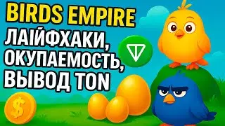 Birds Empire - Гайд По Игре | Лайфхаки, Окупаемость, Вывод TON