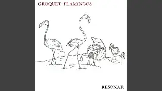 Phoenicopterus Minor