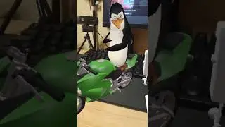 Madagascar penguins in real life #shorts #funny