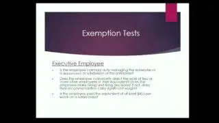 Sheila Amo- FLSA (Fair Labor Standards Act)