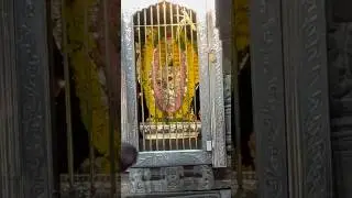 Tamil family from Karnataka #trending #ytshorts #viral #karnatakaculture #god #navarathirispecial