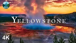 Yellowstone 4K: Erupting Geysers & Epic Wildlife