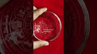 Premium quality sphatik shree Kailash dhan raksha yantra available for more detail W/A us 9828513638