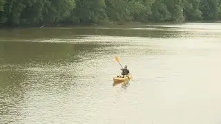 Roanoke River Wildlife Refuge & paddle trail offer something for everyone