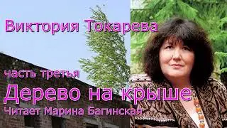 Аудиокнига Виктория Токарева 