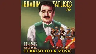 Evlerinin Önü Boyalı Direk (1986)