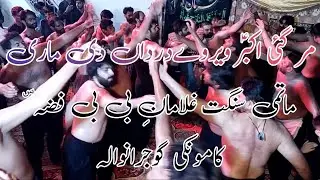 Mar Gai Akbar Veer way Dardan di Mari | Matmi Sangat Galaman e Bibi Fiza | NAQVI Azadari Network