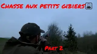 Chasse aux perdreaux et faisans dans la Somme part 2