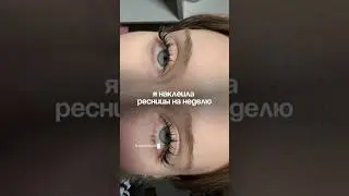 Любимый эффект на ресницах🙏 Артикул на набор OZON: #2723057263 WB: #535382014  #prolashbeauty