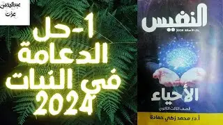 حل كتاب النفيس2024/الدعامه في النبات/حل تفصيلي مهم جدا✔✔