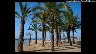 Palmeres de la platja