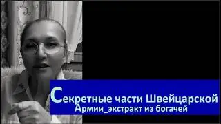 Секретные части швейцарской армии № 6735