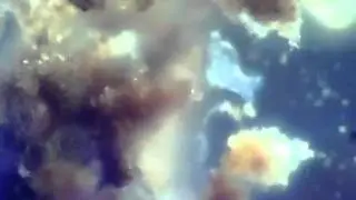 Hackteria-DIY-Mikroskop-BioArt-Visuals-Workshop