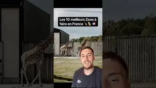 Les 10 meilleurs Zoos et parcs animaliers &agrave; faire en France ! #zoo #parcanimalier
