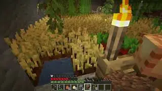 Making a nether portal in Minecraft part 4 (success)